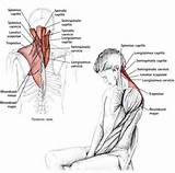Pictures of Neck And Shoulder Muscle Exercise