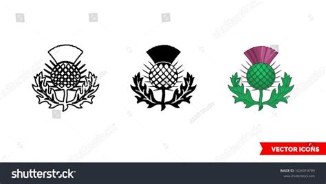 Thistle Symbol Scotland Icon 3 Types Stock Vector Royalty Free