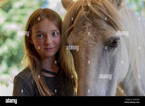 Horse Eyes Hi Res Stock Photography And Images Alamy
