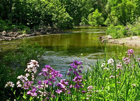 Wild Flowers River Bank Natural Landmarks