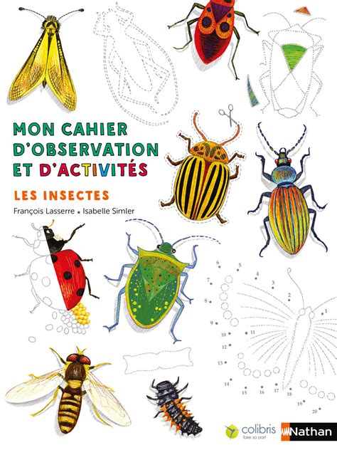 Mon Cahier Dobservation Les Insectes Tout Imagier Insectes