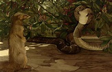 Rikki-Tikki-Tavi, The Jungle Book, 1903 Painting by Rudyard Kipling ...