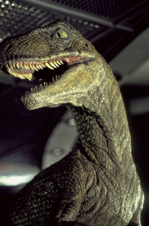 Fotos De Jurassic Park Imagenes De Jurassic Park