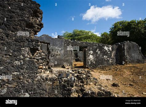 Mauritius Southern Mauritius Vieux Grand Port Ruins Of Fort