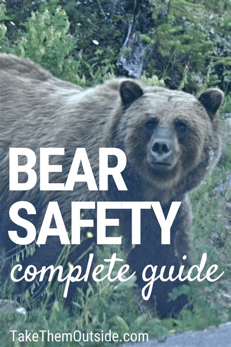 Kids And Bear Safety Be Prepared Bear Safety Bear Hiking With Kids