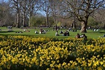 St. James's Park: conheça o mais antigo parque real de Londres!