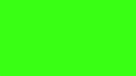 1600x900 Neon Green Solid Color Background