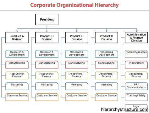 Corporate Organizational Hierarchy Structure Hierarchy Structure