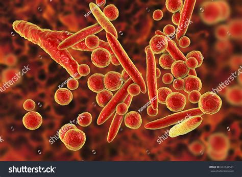 Mycoplasma Bacteria 3d Illustration Showing Small Stock Illustration