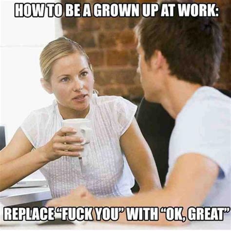 how to be a grown up at work replace fuck you with ok great funny