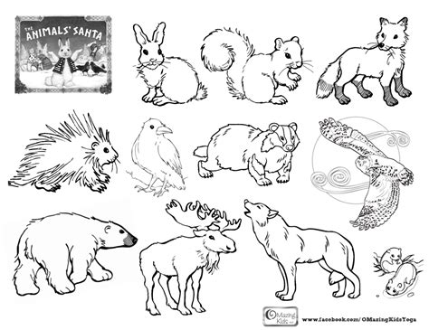 Woodland Creatures Coloring Pages Coloring Home