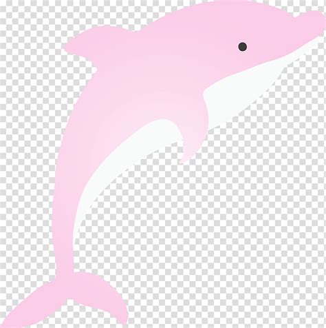 Pink Dolphins Clip Art Library