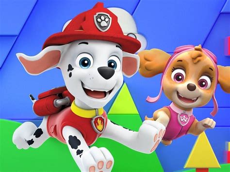 Paw Patrol On Tv Season Episode Channels And Schedules Tvturtle Com