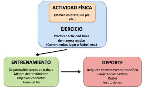 ACTIVIDAD FÍSICA EDUCACIÓN ACTIVIDAD FÍSICA Y EJERCICIO FÍSICO