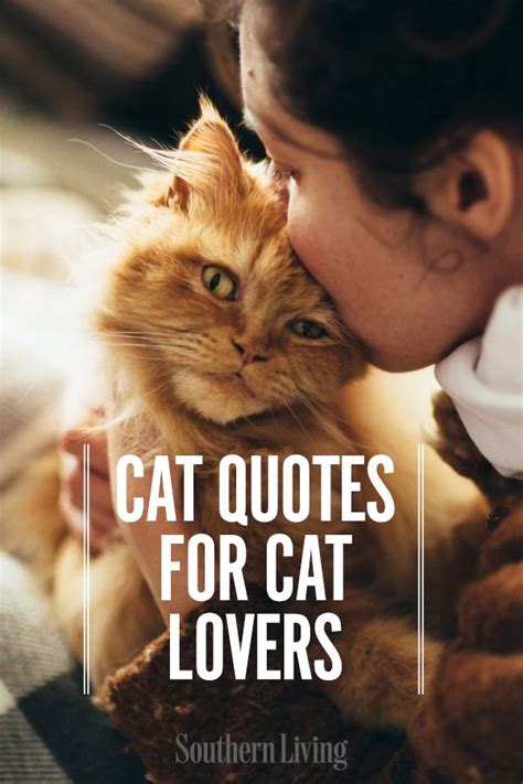 40 Best Cat Quotes For Cat Lovers Cat Love Quotes Cute Cat Quotes