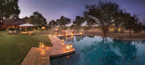 Timbavati Game Reserve Safaris Tours And Holiday Packages Discover