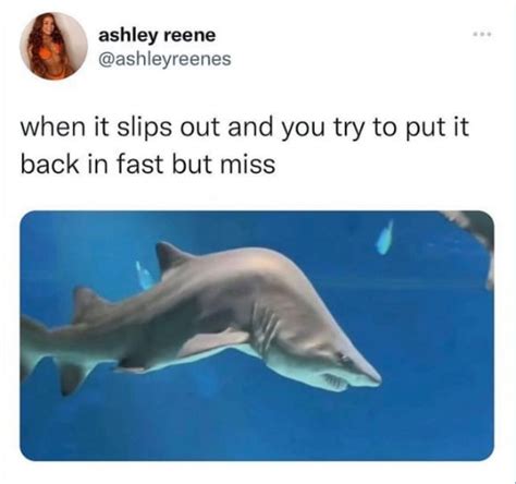 A “just The Tip” Slip Meme By Olliebear Memedroid