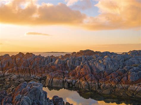 A Four Day Trek Through Beautiful Tasmania Travel Insider