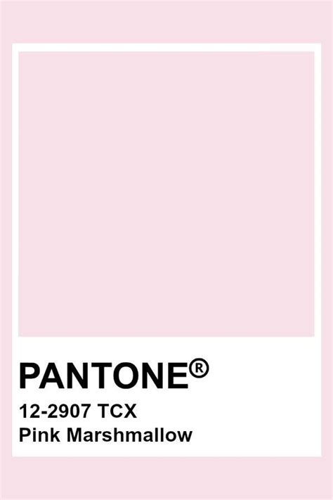 Pantone Palette Pantone Swatches Pantone Colour Palettes Pantone