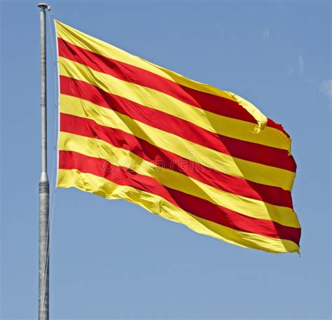 Flag Of Catalonia Stock Photo Image Of Civil Colour 55568410
