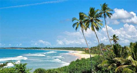 25 Best Things To Do In Bentota Sri Lanka 2024 Holidify