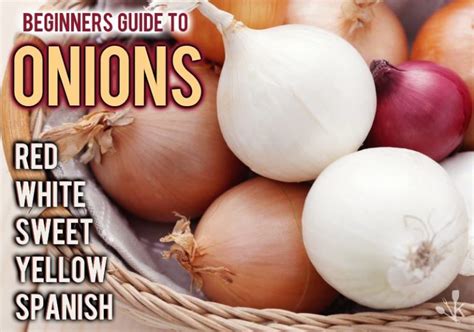 Spanish Onions Vs Red White Yellow And Sweet Kitchensanity