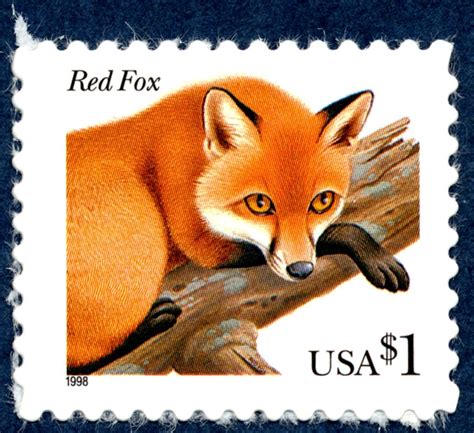 1 red fox single smithsonian institution
