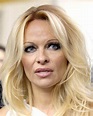 HOLLYWOOD ALL STARS: Pamela Anderson Pictures, Profile and Short Bio in ...