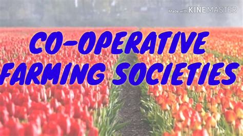 Co Operative Farming Societies Co Operation Youtube