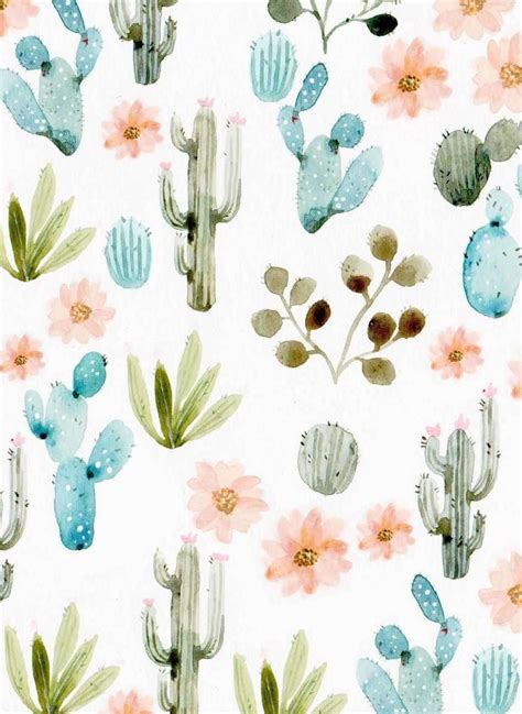 Download Cactus Iphone Wallpaper