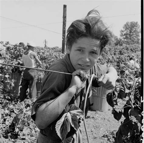The Incredible Photography Portfolio Of Dorothea Lange The Great