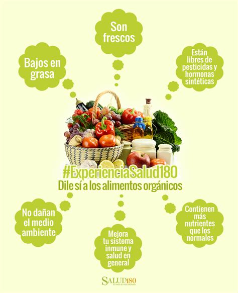 8 Alimentos Orgánicos Que Mejoran Tu Digestión Salud180