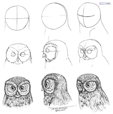 How To Draw An Owl Easy Tutorial Tutorial By Simon Alexander Owls