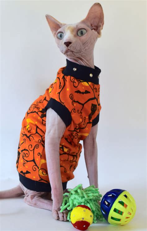 Sphynx Cat Clothing Hairless Hipsters Hairless Hipsters Llc