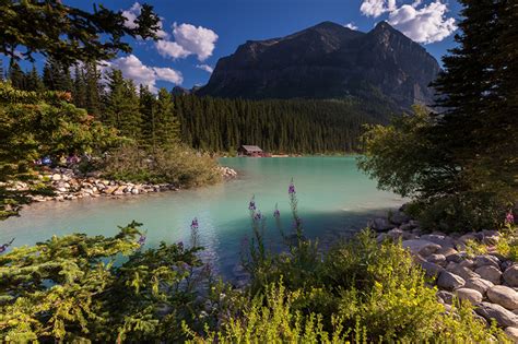Images Canada Alberta Nature Mountain Lake Forests Stone