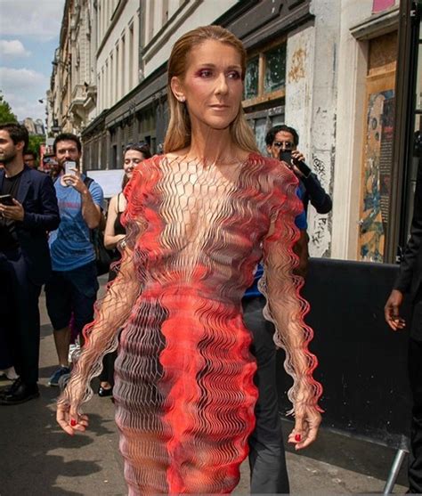 Cada vez mais magra Céline Dion choca fãs ao usar vestido revelador Flashes FLASH