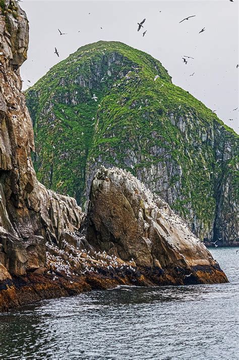 Island Of Birds Photograph By Andrew Kazmierski Pixels