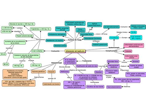 Síndrome Metabólico Mapa Conceptual Esquemas Y Mapas Conceptuales De