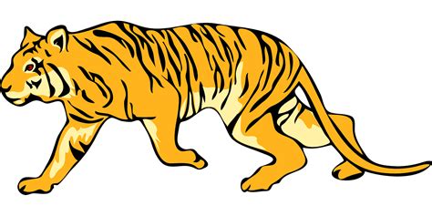 Tiger Stripes Animal Free Vector Graphic On Pixabay