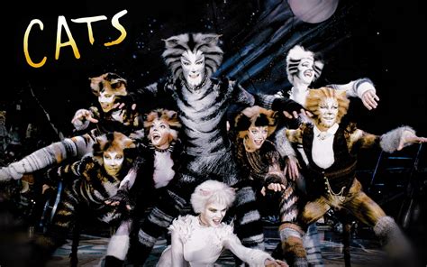 Cats The Musical Review Backchat