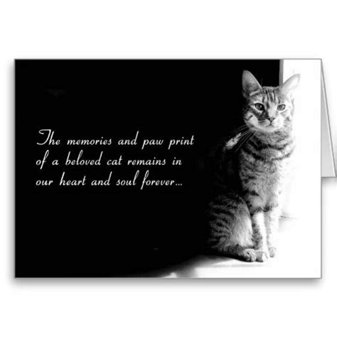 Pet Loss Quotes Cats Quotesgram