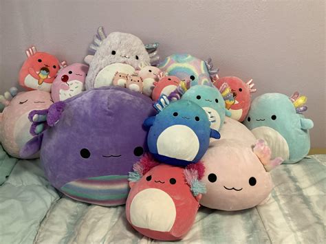 6 Best U Squishmallowp Images On Pholder Squishmallow Hamsters And
