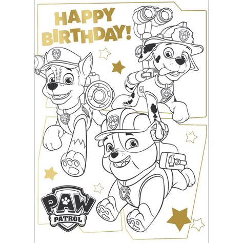 Paw Patrol Me Colour In Birthday Card With Poster Pa034 Character