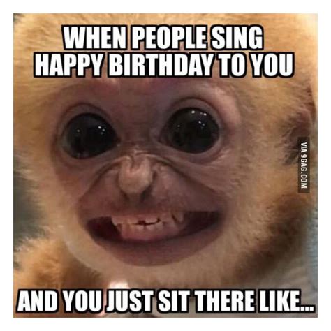 Download transparent meme face png for free on pngkey.com. Happy Birthday Memes - 65 of the Best and Funny Happy ...