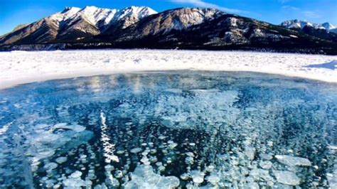 These Stunning Frozen Methane Bubbles Were Captured At Abraham Lake
