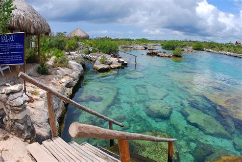 One Of The Best Snorkeling Spots Tons Of Fish Akumal Mexico 5612