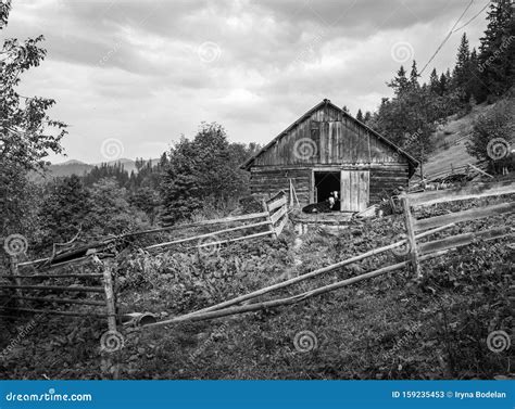 Black And White Scenery Of The Carpathian Mountain Village Private Farm