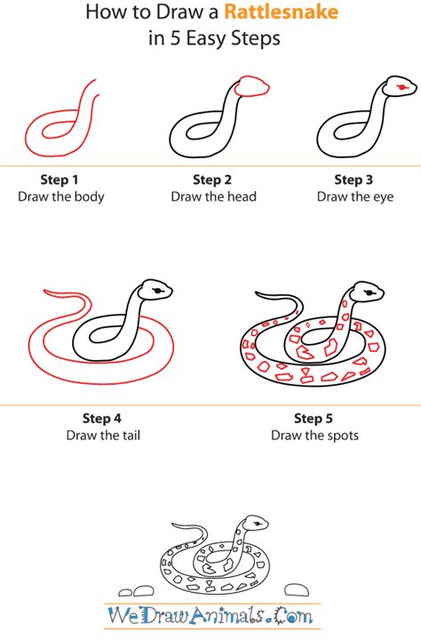 Step By Step Snake Drawing For Kids Peepsburghcom