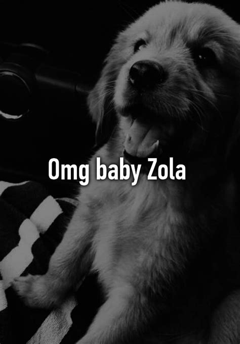 Omg Baby Zola