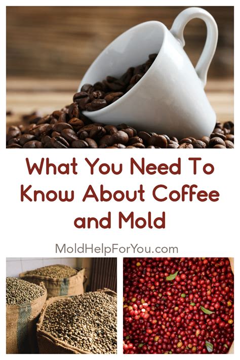 The reason is there are many mold free coffee brands results we have discovered especially updated the new coupons and this process will take a while to present the best result for your searching. What You Need To Know About Coffee and Mold in 2020 | Free ...